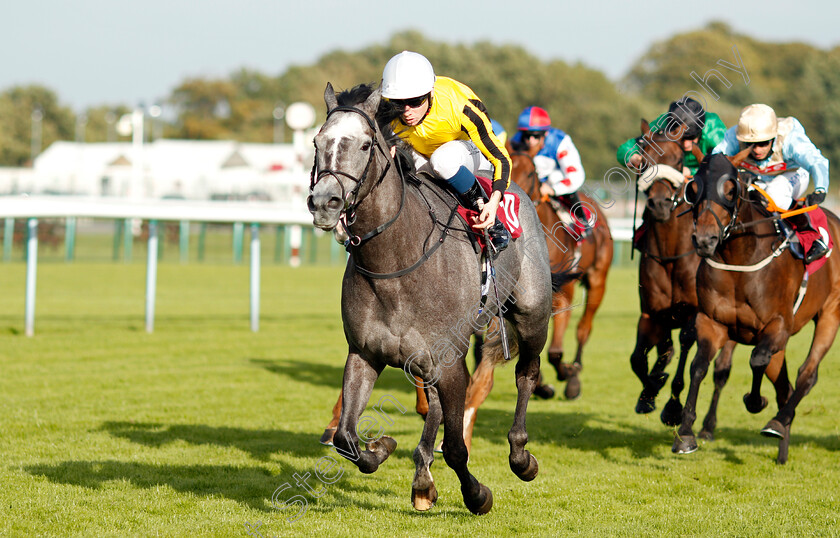 Luncies-0008 
 LUNCIES (Callum Shepherd) wins The Watch Racing On Betfair For Free Handicap
Haydock 4 Sep 2020 - Pic Steven Cargill / Racingfotos.com