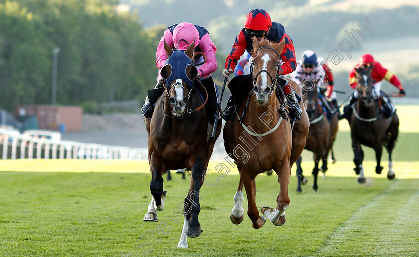 So-Near-So-Farhh-0005 
 SO NEAR SO FARHH (right, Franny Norton) beats JACOB CATS (left) in The comparebettingsites.com Handicap
Chepstow 2 Jul 2019 - Pic Steven Cargill / Racingfotos.com