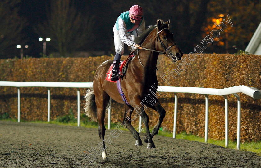 Headman-0001 
 HEADMAN (Kieran Shoemark)
Kempton 21 Nov 2018 - Pic Steven Cargill / Racingfotos.com