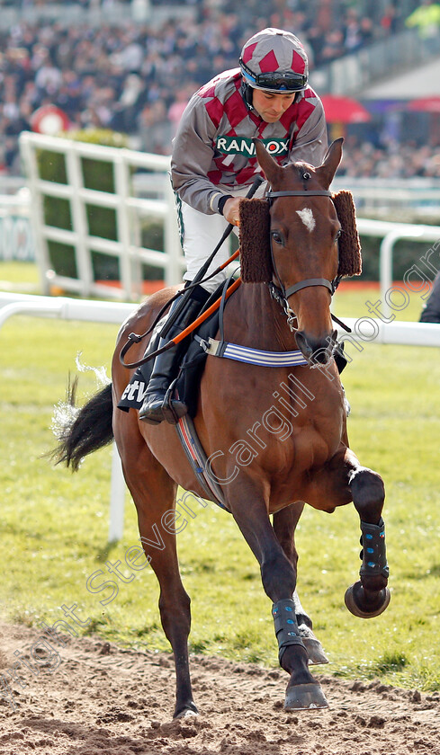 Wishing-And-Hoping 
 WISHING AND HOPING (Alex Edwards)
Aintree 9 Apr 2022 - Pic Steven Cargill / Racingfotos.com