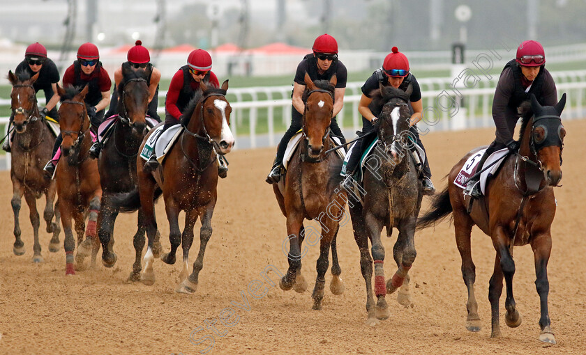 Tower-Of-London,-Auguste-Rodin-and-Luxembourg-0002 
 TOWER OF LONDON leads AUGUSTE RODIN (2nd right) and LUXEMBOURG at the head of Aidan O'Brien's string training at the Dubai World Cup
Meydan Dubai 26 Mar 2024 - Pic Steven Cargill / Racingfotos.com