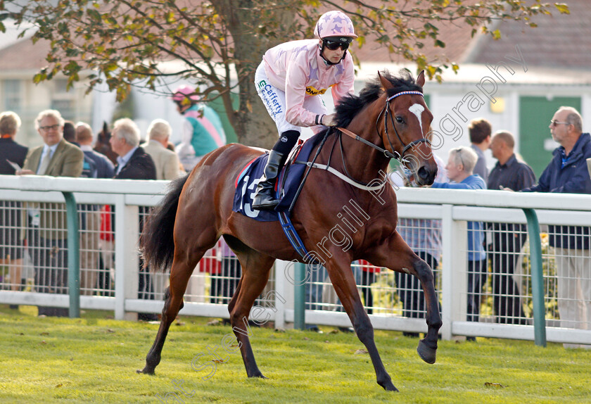 Vantasy-0001 
 VANTASY (Jack Mitchell) Yarmouth 16 Oct 2017 - Pic Steven Cargill / Racingfotos.com