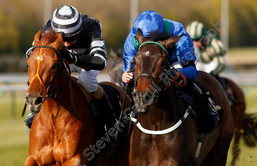 Kalma-0007 
 KALMA (right, Tom Queally) beats CORBULO (left) in The Follow @racingtv On Twitter Handicap
Nottingham 17 Apr 2021 - Pic Steven Cargill / Racingfotos.com