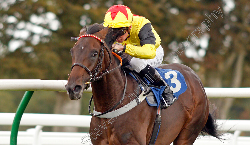 Kenzai-Warrior-0005 
 KENZAI WARRIOR (Jason Watson) wins The Irish Thoroughbred Marketing Novice Stakes
Salisbury 5 Sep 2019 - Pic Steven Cargill / Racingfotos.com