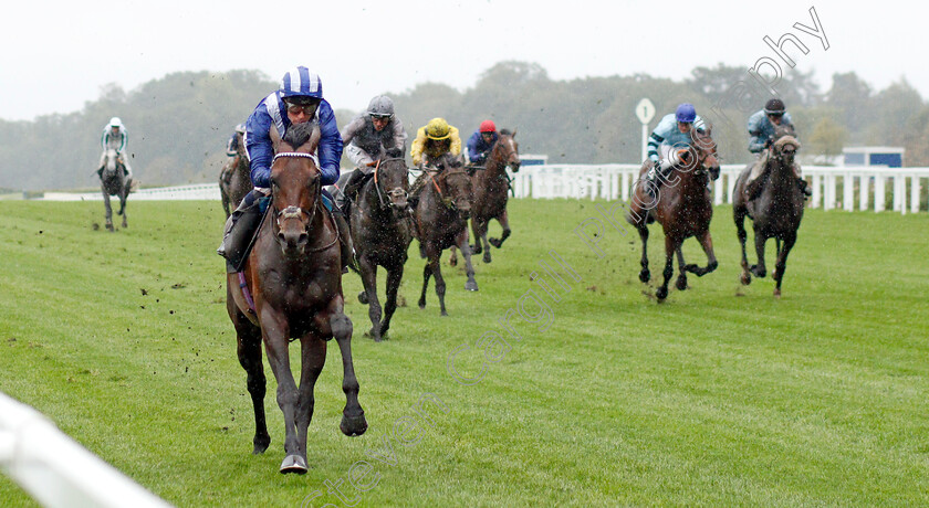 Hukum-0004 
 HUKUM (Jim Crowley) wins The ABF/BGC Cumberland Lodge Stakes
Ascot 2 Oct 2021 - Pic Steven Cargill / Racingfotos.com