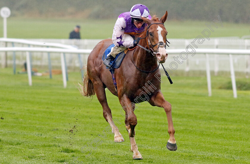 Starzintheireyes-0002 
 STARZINTHEIREYES (Rossa Ryan) wins The British Stallion Studs EBF Novice Stakes
Leicester 10 Sep 2024 - Pic Steven Cargill / Racingfotos.com