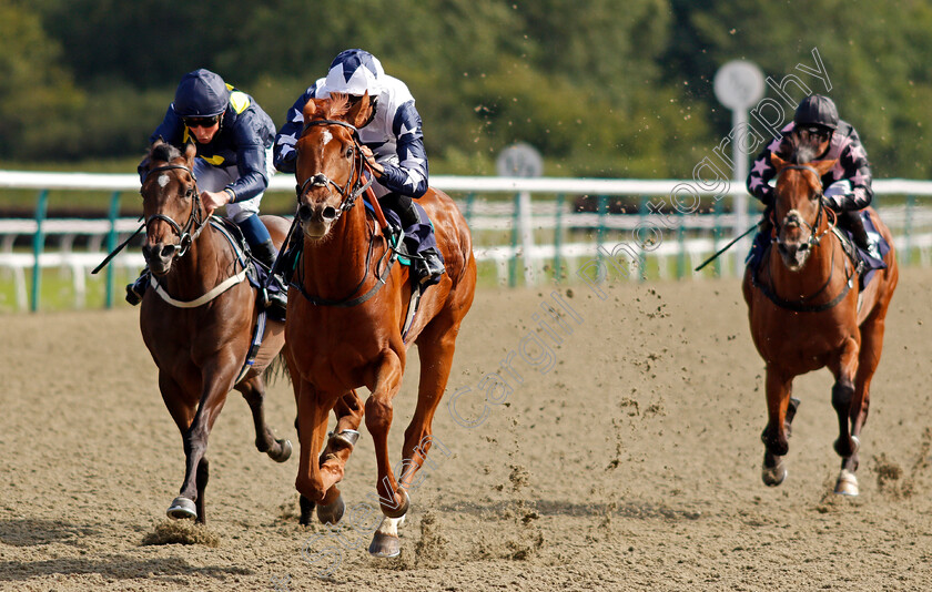 Miami-Joy-0004 
 MIAMI JOY (Sean Levey) beats DESERT VISION (left) in The Betway British Stallion Studs EBF Novice Auction Stakes
Lingfield 4 Aug 2020 - Pic Steven Cargill / Racingfotos.com