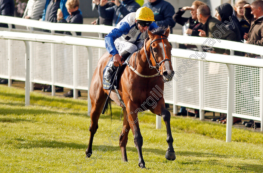 Snazzy-Jazzy-0003 
 SNAZZY JAZZY (Adam Kirby) wins The Tattersalls Ireland Super Auction Sale Stakes Curragh 10 Sep 2017 - Pic Steven Cargill / Racingfotos.com