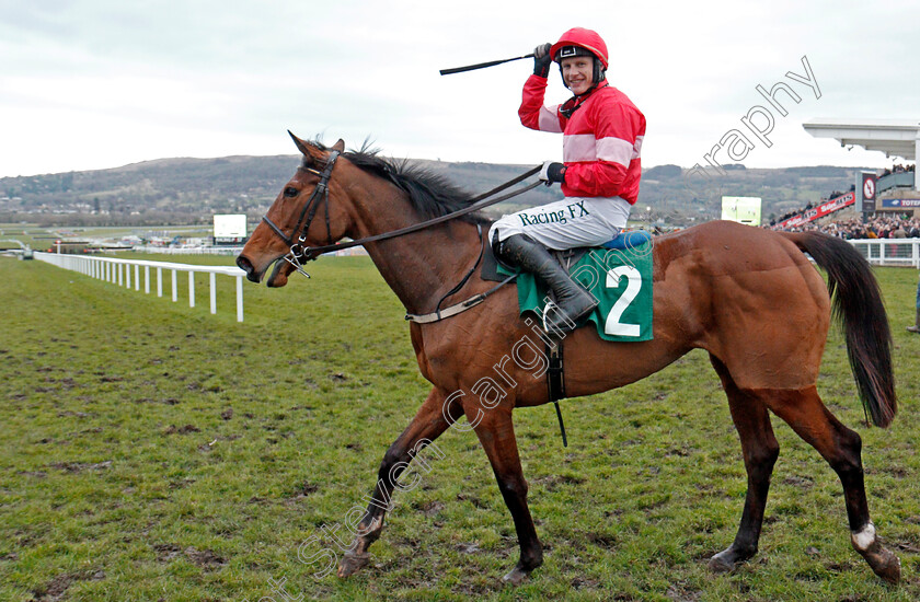 Laurina-0006 
 LAURINA (Paul Townend) after The Trull House Stud Mares Novices Hurdle Cheltenham 15 Mar 2018 - Pic Steven Cargill / Racingfotos.com