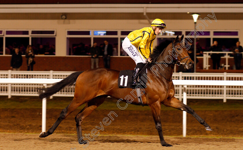 Move-Swiftly-0002 
 MOVE SWIFTLY (Tom Marquand) winner of The toteJackpot At betfred.com Novice Median Auction Stakes Chelmsford 21 Dec 2017 - Pic Steven Cargill / Racingfotos.com