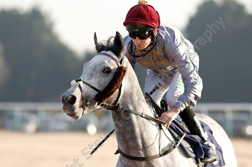 Fenjal-0001 
 FENJAL (Luke Morris) winner of The Ladbrokes Home Of The Odds Boost Nursery
Southwell 11 Dec 2018 - Pic Steven Cargill / Racingfotos.com