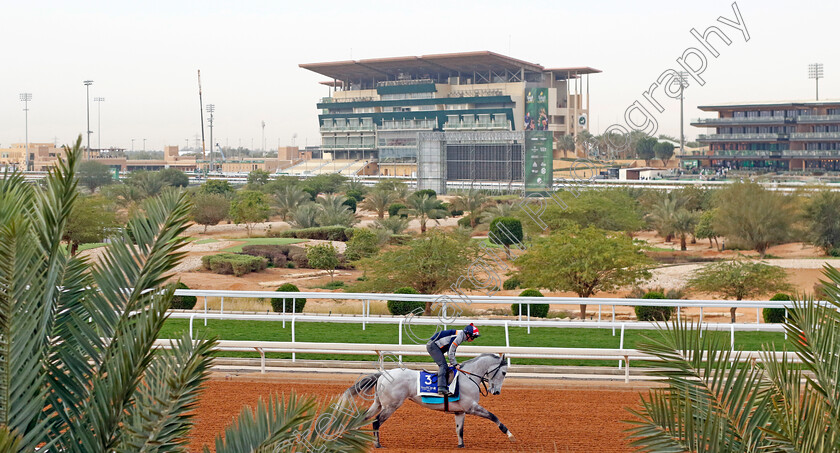 Art-Power-0001 
 ART POWER training for The 1351 Turf Sprint
King Abdulaziz Racetrack, Saudi Arabia 22 Feb 2024 - Pic Steven Cargill / Racingfotos.com