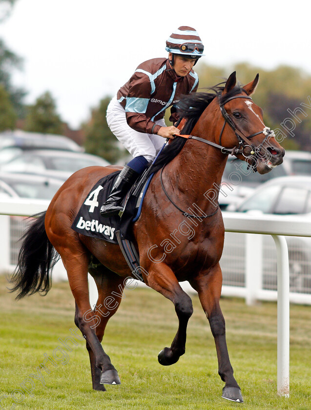 Hector-Loza-0001 
 HECTOR LOZA (Nicky Mackay)
Sandown 31 Aug 2019 - Pic Steven Cargill / Racingfotos.com