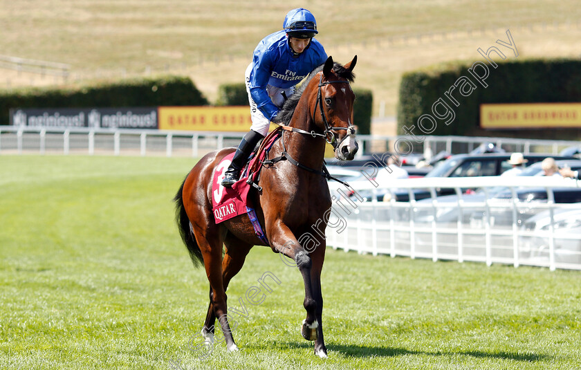 Burj-0001 
 BURJ (Edward Greatrex)
Goodwood 31 Jul 2018 - Pic Steven Cargill / Racingfotos.com