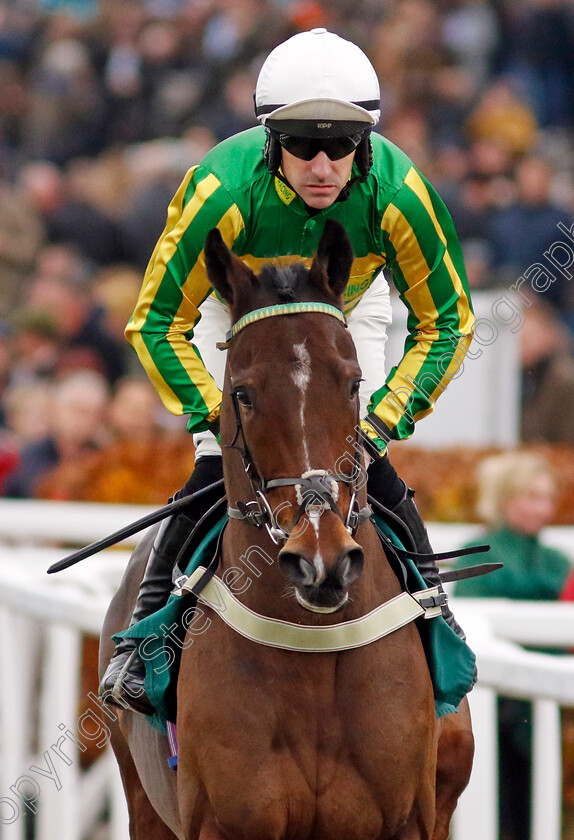 Maghlaak-0001 
 MAGHLAAK (Brian Hughes)
Cheltenham 17 Nov 2024 - Pic Steven Cargill / Racingfotos.com