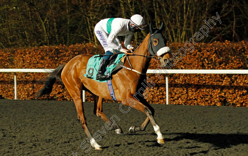 Fantalope-0001 
 FANTALOPE (David Probert)
Kempton 3 Mar 2021 - Pic Steven Cargill / Racingfotos.com