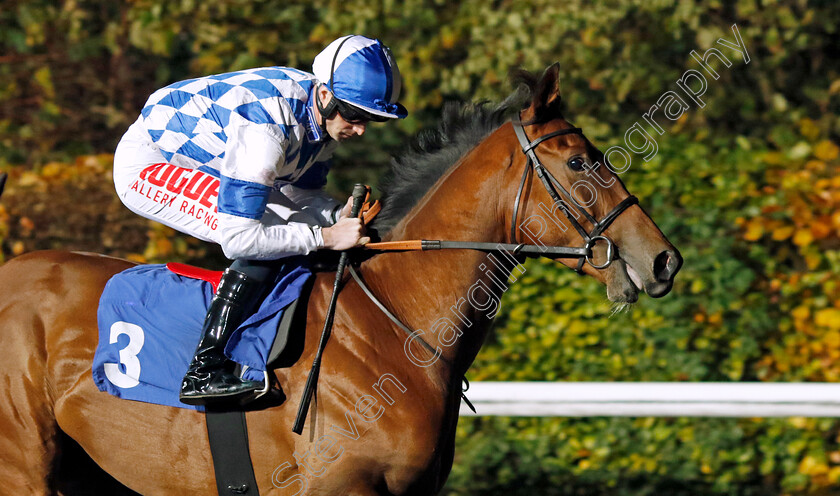 Lord-Paramount-0001 
 LORD PARAMOUNT (Jack Mitchell)
Kempton 16 Nov 2022 - Pic Steven Cargill / Racingfotos.com