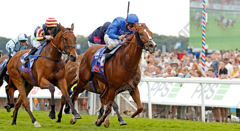 Wild-Lion-0004 
 WILD LION (Kieran O'Neill) beats GWEEDORE (left) in The Sky Bet Handicap
York 17 Jun 2023 - Pic Steven Cargill / Racingfotos.com