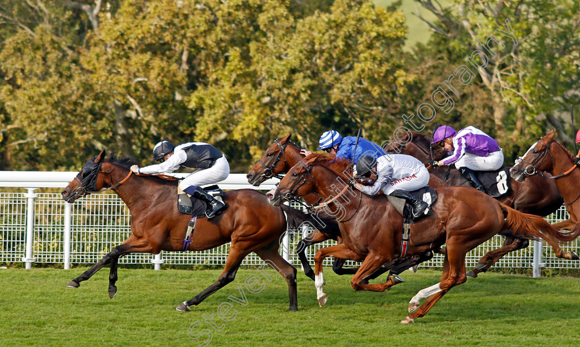 Victory-Chime-0010 
 VICTORY CHIME (Hector Crouch) beats TYSON FURY (right) in The Best of British Events Foundation Stakes
Goodwood 22 Sep 2021 - Pic Steven Cargill / Racingfotos.com