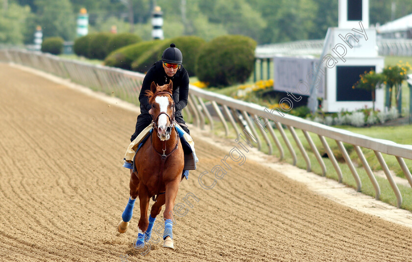 Improbable-0006 
 IMPROBABLE exercising in preparation for the Preakness Stakes
Pimlico, Baltimore USA, 16 May 2019 - Pic Steven Cargill / Racingfotos.com