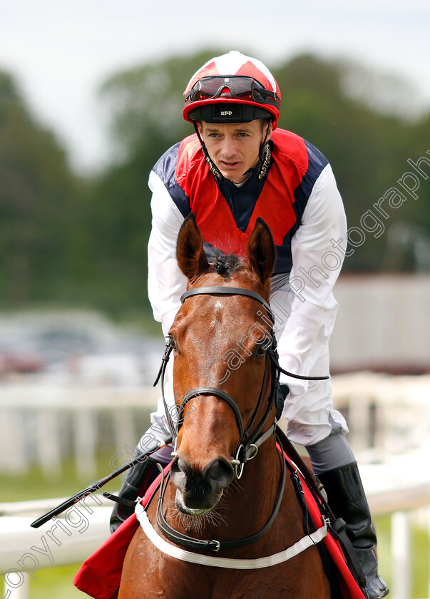 Copper-Knight-0001 
 COPPER KNIGHT (David Allan)
York 17 May 2018 - Pic Steven Cargill / Racingfotos.com