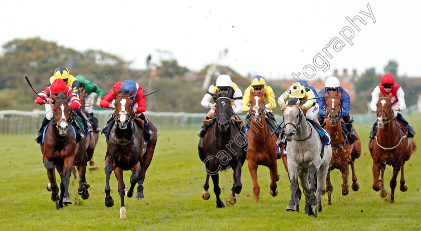 Regal-Reality-0005 
 REGAL REALITY (2nd left, Ryan Moore) beats RICH IDENTITY (grey) in The Hobgoblin Legendary Ruby Ale EBF Maiden Stakes Div2 Yarmouth 20 Sep 2017 - Pic Steven Cargill / Racingfotos.com