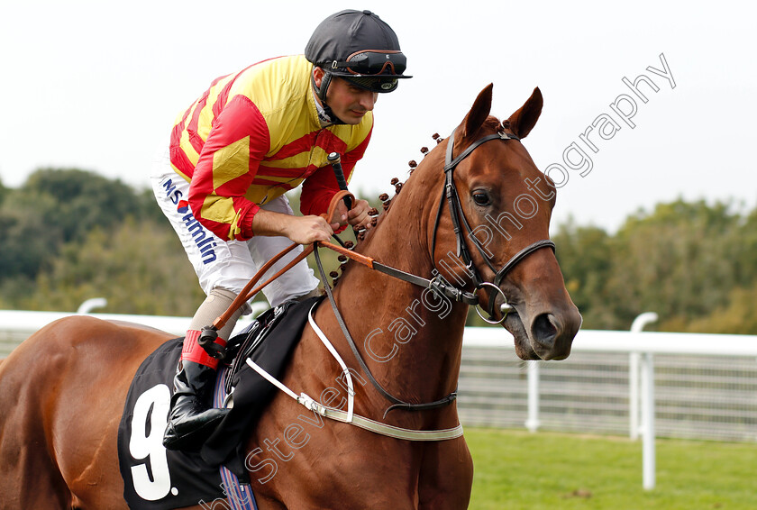 Sir-Ron-Priestly-0001 
 SIR RON PRIESTLY (Andrea Atzeni)
Goodwood 4 Sep 2018 - Pic Steven Cargill / Racingfotos.com