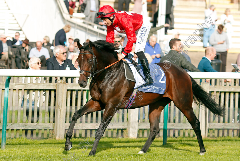 Chindit-0001 
 CHINDIT (Pat Dobbs)
Newmarket 29 Sep 2023 - Pic Steven Cargill / Racingfotos.com