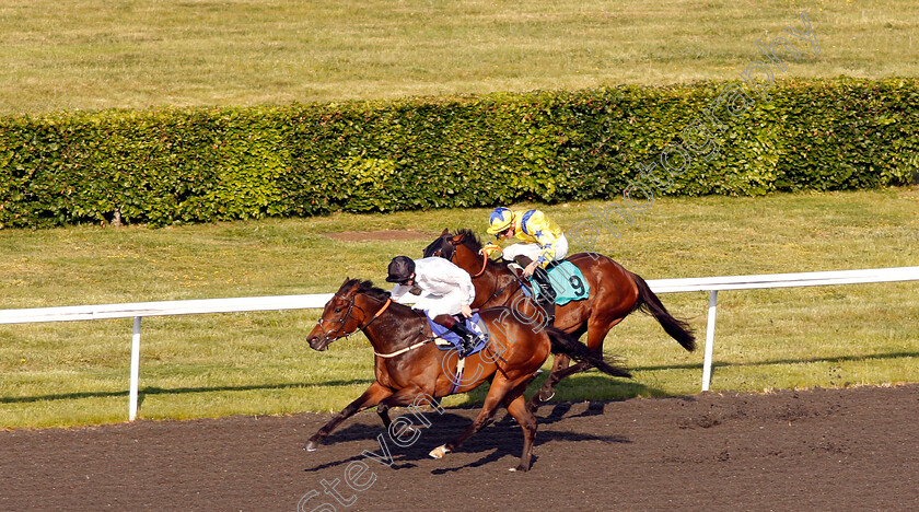 Capofaro-0003 
 CAPOFARO (Thomas Greatrex) wins The 100% Profit Boost At 32redsport Apprentice Handicap
Kempton 22 May 2019 - Pic Steven Cargill / Racingfotos.com