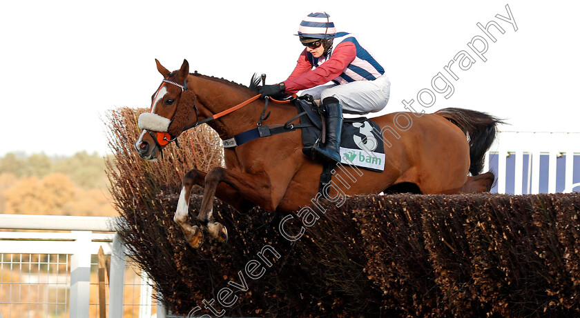 Abbreviate-0001 
 ABBREVIATE (David Bass) Ascot 25 Nov 2017 - Pic Steven Cargill / Racingfotos.com