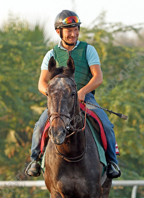 Vazirabad-0003 
 VAZIRABAD exercising in preparation for the Dubai Gold Cup Meydan 29 Mar 2018 - Pic Steven Cargill / Racingfotos.com