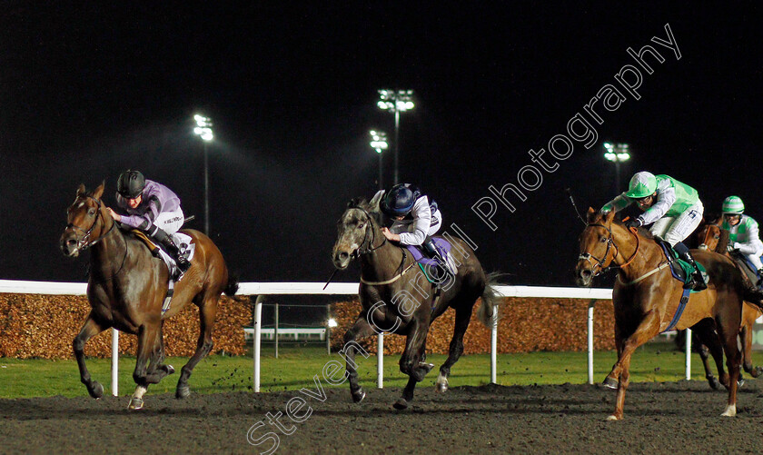 Covert-Mission-0001 
 COVERT MISSION (left, Daniel Muscutt) beats MABRE (centre) and CALIN'S LAD (right) in The Join Racing TV Now Handicap Div2
Kempton 16 Feb 2022 - Pic Steven Cargill / Racingfotos.com