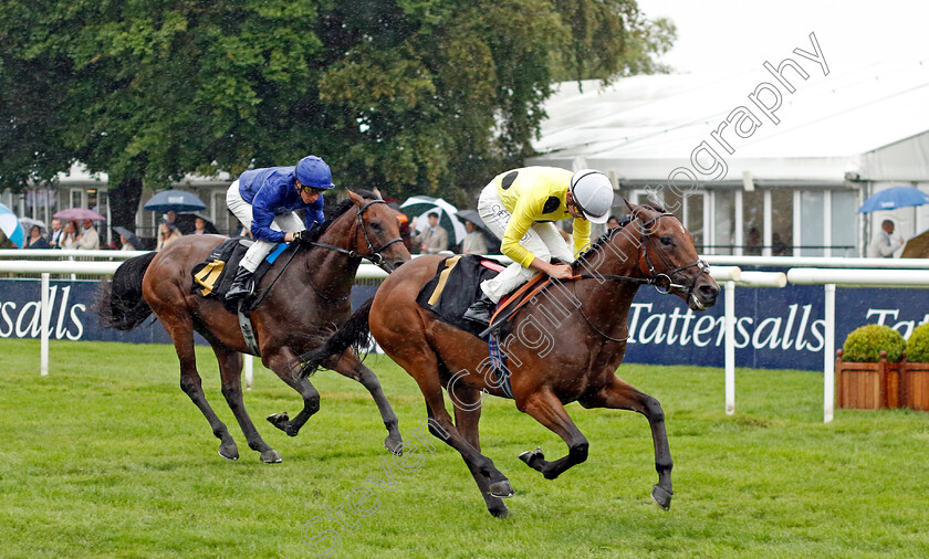 Arabic-Legend-0002 
 ARABIC LEGEND (Rob Hornby) wins The Weatherbys British EBF Maiden Stakes
Newmarket 14 Jul 2023 - Pic Steven Cargill / Racingfotos.com