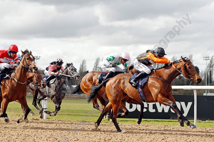 Whittle-Le-Woods-0003 
 WHITTLE LE WOODS (Theodore Ladd) wins The Betway Handicap
Wolverhampton 12 Mar 2022 - Pic Steven Cargill / Racingfotos.com