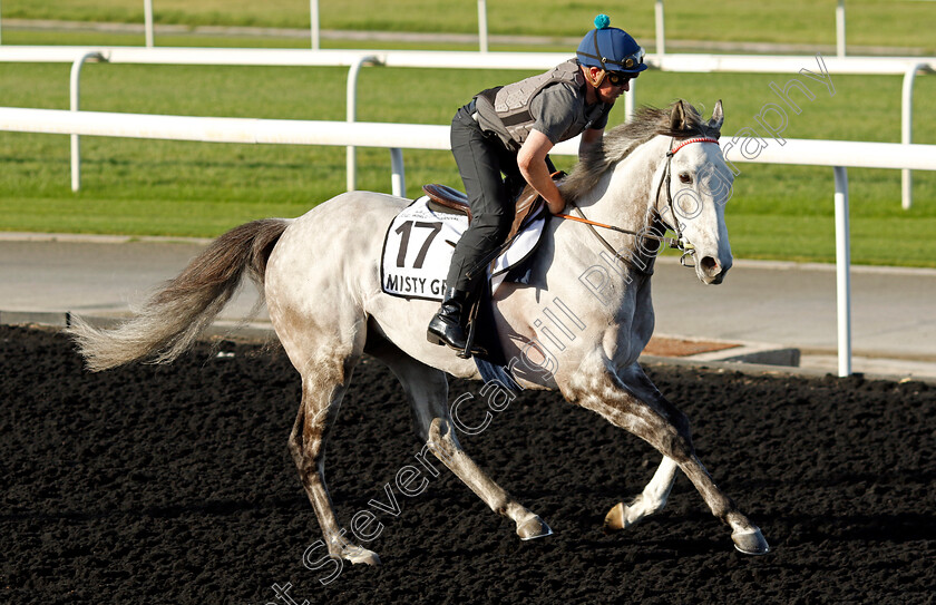 Misty-Grey-0002 
 MISTY GREY training at the Dubai World Cup Carnival
Meydan 5 Jan 2023 - Pic Steven Cargill / Racingfotos.com