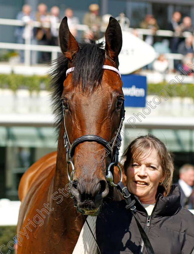 Queen-For-You-0009 
 QUEEN FOR YOU winner of The Naas Racecourse Royal Ascot Trials Day British EBF Fillies Stakes
Ascot 3 May 2023 - Pic Steven Cargill / Racingfotos.com