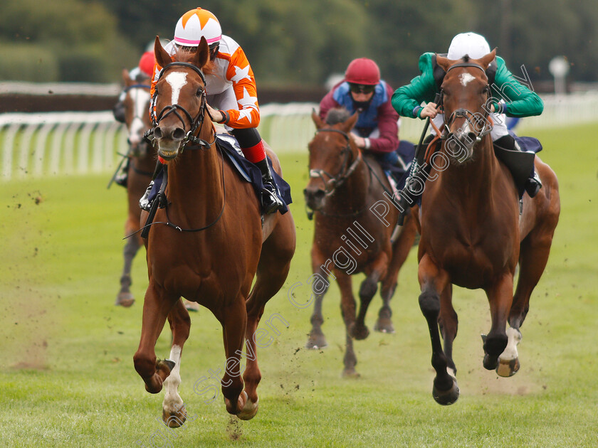 Torochica-0003 
 TOROCHICA (Josephine Gordon) beats LET RIP (right) in The Betway Handicap
Lingfield 7 Sep 2020 - Pic Steven Cargill / Racingfotos.com