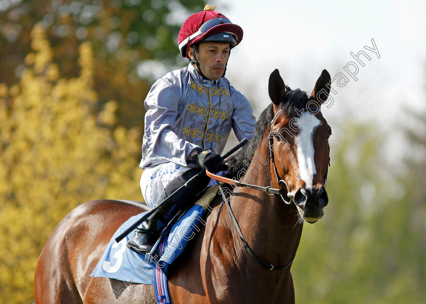 Ehteyat 
 EHTEYAT (Silvestre De Sousa)
Leicester 23 Apr 2022 - Pic Steven Cargill / Racingfotos.com