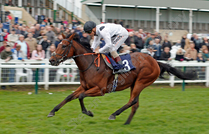 Sentinel-0004 
 SENTINEL (Stevie Donohoe) wins The John Kemp 4 x 4 Centre Of Norwich Handicap Yarmouth 24 Oct 2017 - Pic Steven Cargill / Racingfotos.com