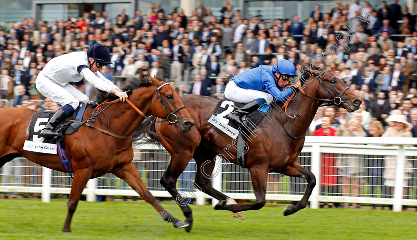 Blue-Point-0004 
 BLUE POINT (William Buick) beats PROJECTION (left) in The John Guest Bengough Stakes Ascot 7 Oct 2017 - Pic Steven Cargill / Racingfotos.com