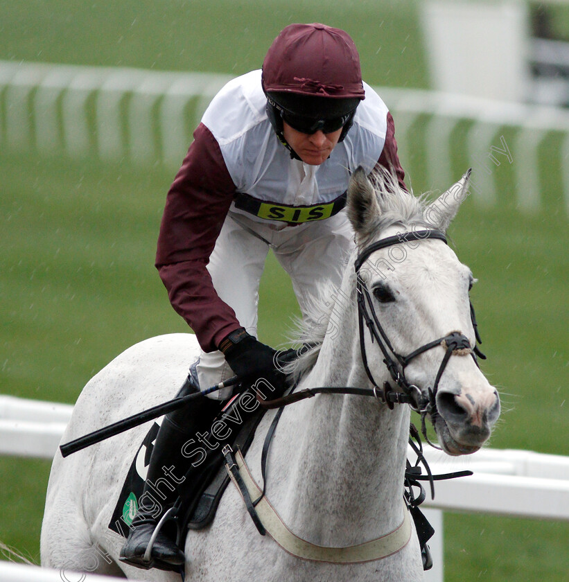 Silver-Streak-0001 
 SILVER STREAK (Barry Geraghty)
Cheltenham 15 Dec 2018 - Pic Steven Cargill / Racingfotos.com