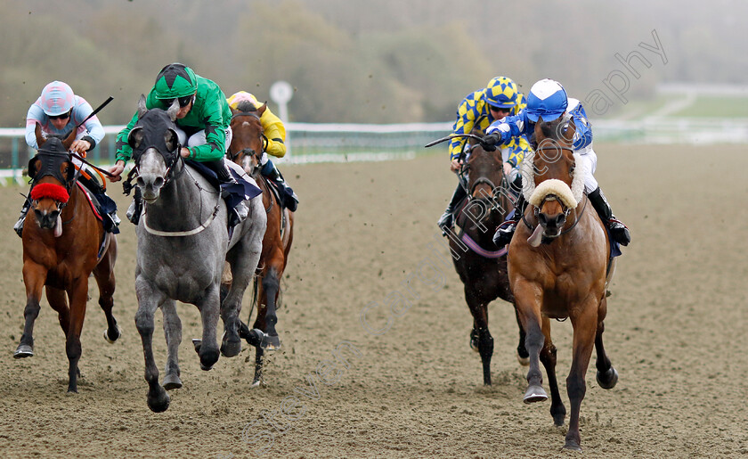 Star-Of-Lady-M-0003 
 STAR OF LADY M (left, Daniel Tudhope) beats THE DEFIANT (right) in The Get The Inside Track With raceday-ready.com Handicap
Lingfield 4 Apr 2024 - Pic Steven Cargill / Racingfotos.com