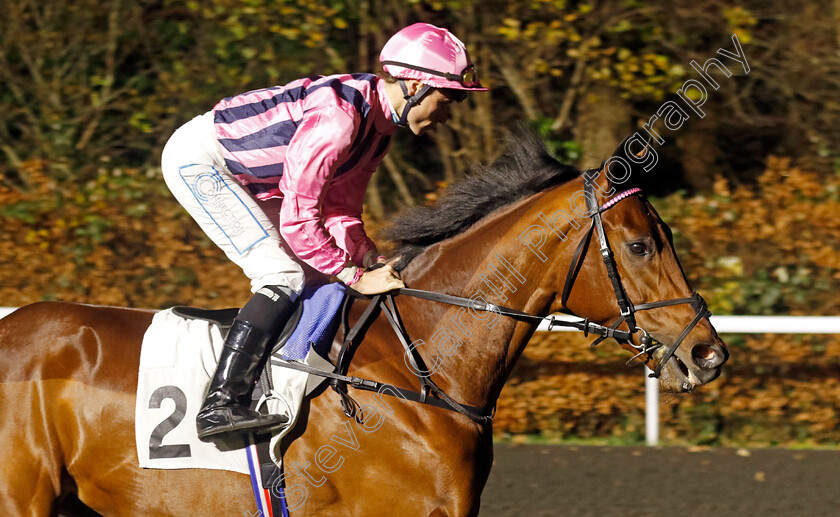 Bowmark-0006 
 BOWMARK (Kieran Shoemark) winner of The Unibet EBF Novice Stakes Div2
Kempton 4 Dec 2024 - pic Steven Cargill / Racingfotos.com