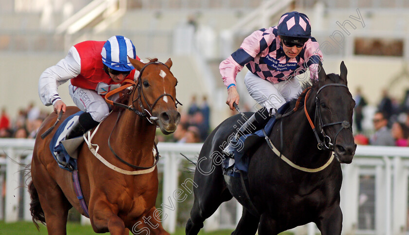 Dominating-0003 
 DOMINATING (left, P J McDonald) beats ALTAAYIL (right) in The Canaccord Genuity Gordon Carter Handicap Ascot 6 Oct 2017 - Pic Steven Cargill / Racingfotos.com