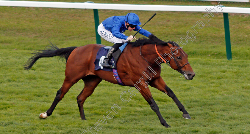 Big-Tour-0002 
 BIG TOUR (Pat Cosgrave) wins The Bombadier Beer Handicap Yarmouth 21 Sep 2017 - Pic Steven Cargill / Racingfotos.com