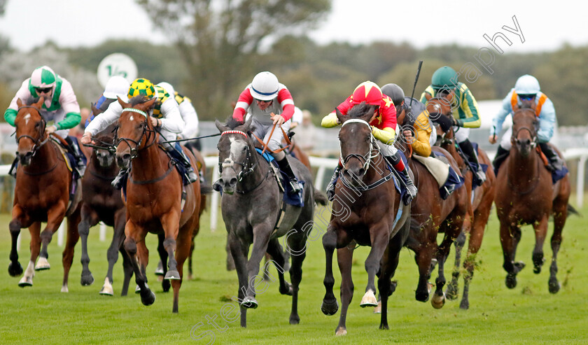 Son-Of-Man-0007 
 SON OF MAN (David Egan) wins The British Stallion Studs EBF Novice Stakes Div1
Yarmouth 19 Sep 2023 - Pic Steven Cargill / Racingfotos.com