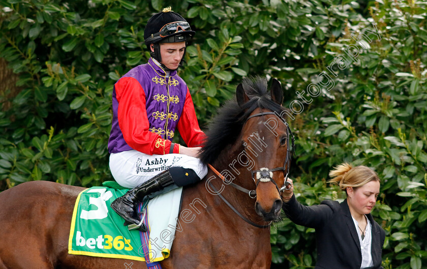 Serried-Ranks-0002 
 SERRIED RANKS (Rossa Ryan)
Sandown 26 Apr 2024 - Pic Steven Cargill / Racingfotos.com