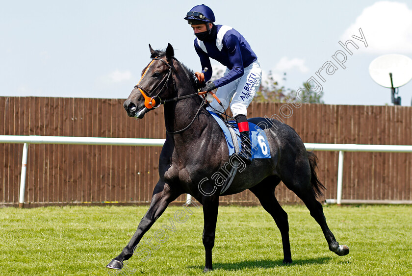 Wings-Of-War-0002 
 WINGS OF WAR (Adam Kirby)
Leicester 1 Jun 2021 - Pic Steven Cargill / Racingfotos.com