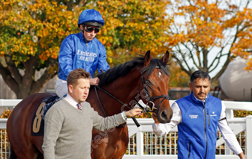 Regal-Honour-0008 
 REGAL HONOUR (William Buick) winner of The Stephen Rowley Remembered Novice Stakes
Newmarket 19 Oct 2022 - Pic Steven Cargill / Racingfotos.com