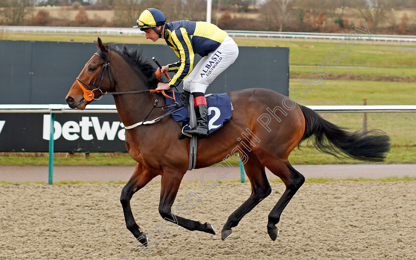 Irish-Acclaim-0001 
 IRISH ACCLAIM (Adam Kirby)
Lingfield 2 Jan 2020 - Pic Steven Cargill / Racingfotos.com